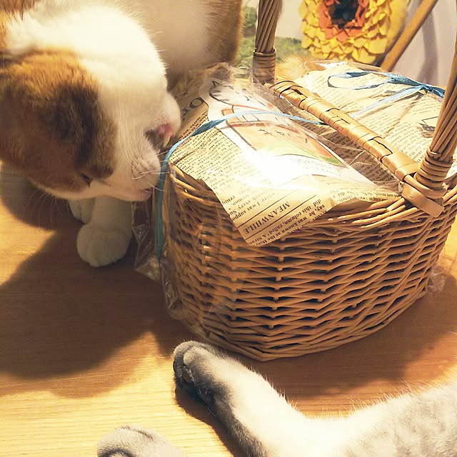 tamacharouさんの実例写真