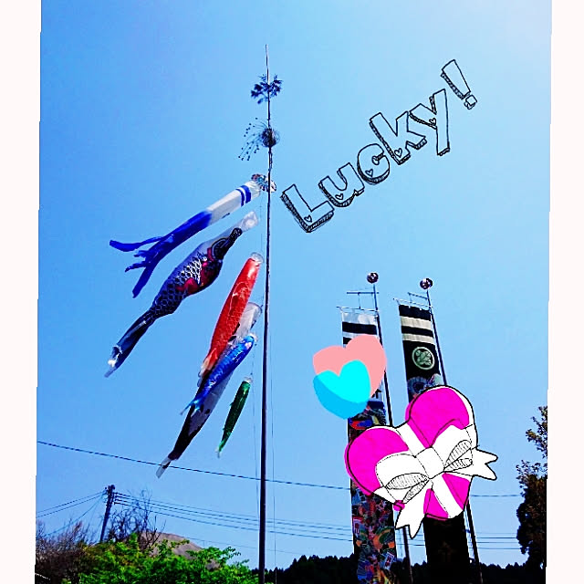 harusukeさんの実例写真