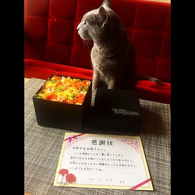 roshi3さんの実例写真