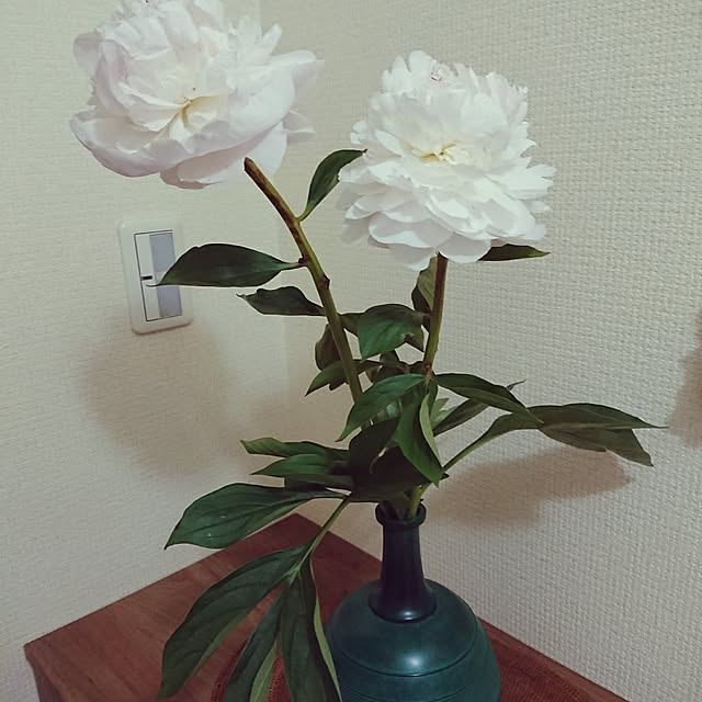hopkeiさんの実例写真