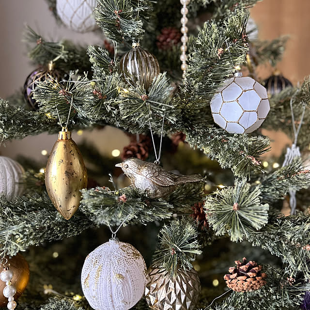 chikoさんの部屋