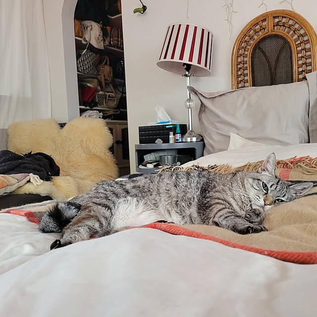 実例写真