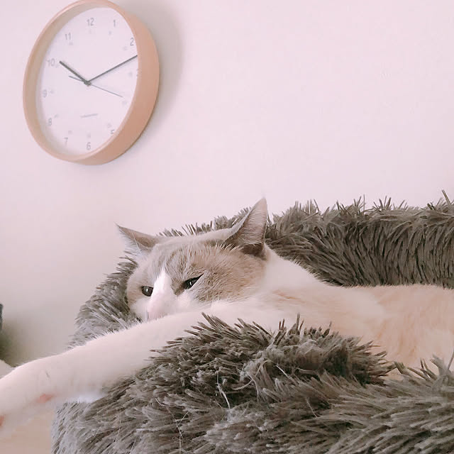 milkcocoaさんの部屋