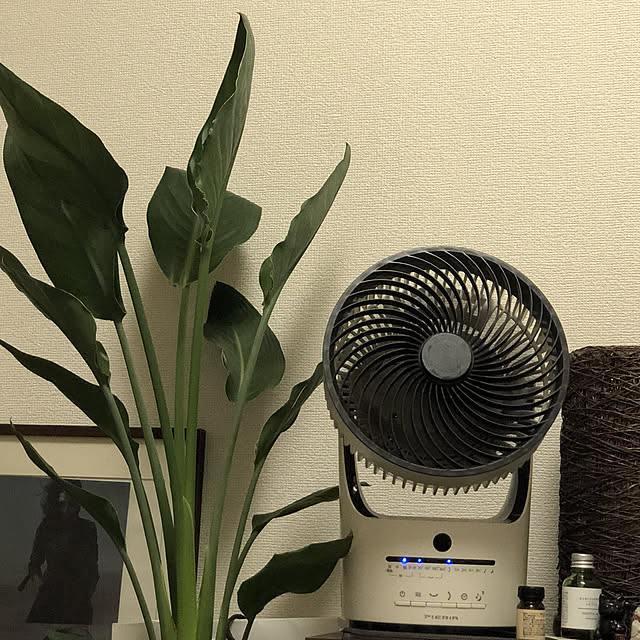minkさんの実例写真