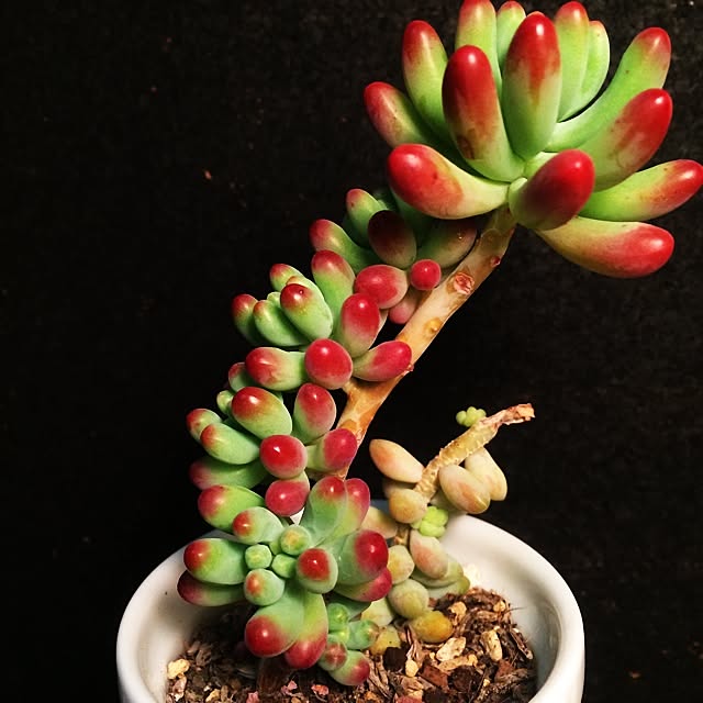 emimero08さんの実例写真