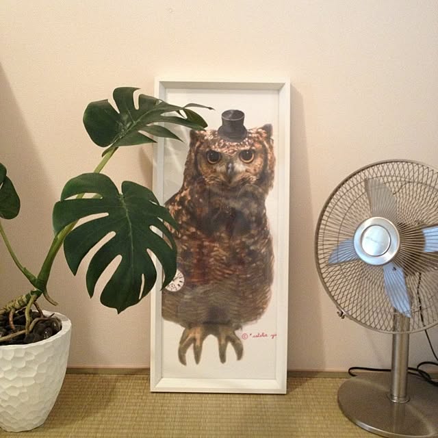 yokoさんの実例写真