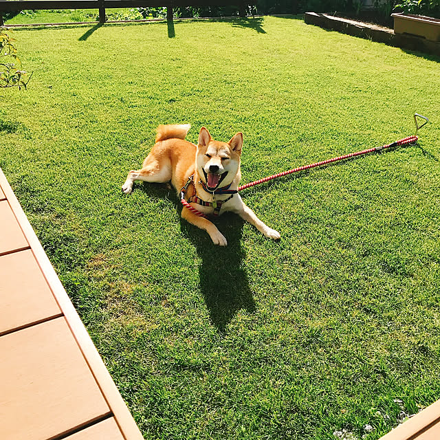 Yukiさんの実例写真