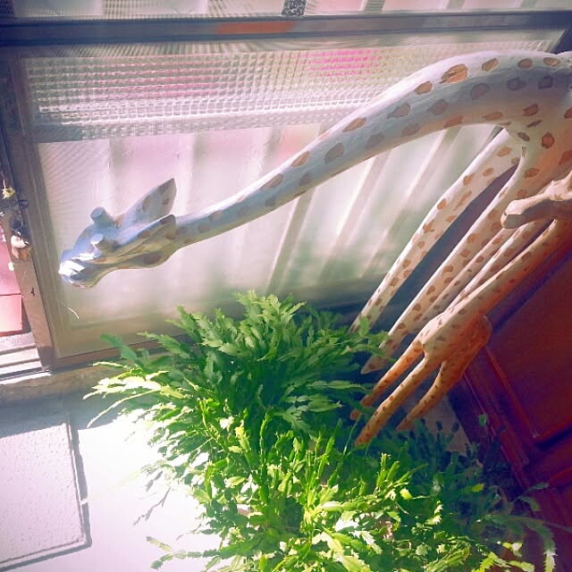 kiiさんの実例写真