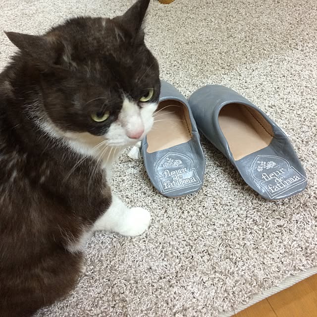 popon321さんの実例写真