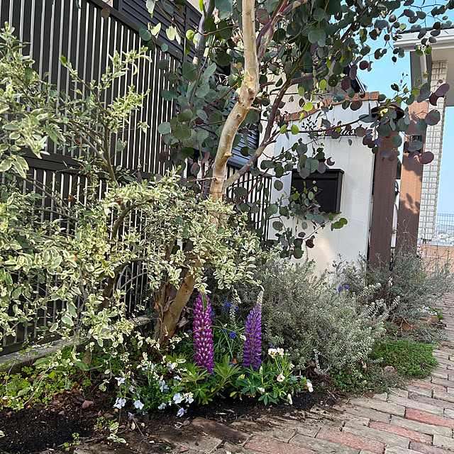 MeineLieblingssachenさんの実例写真