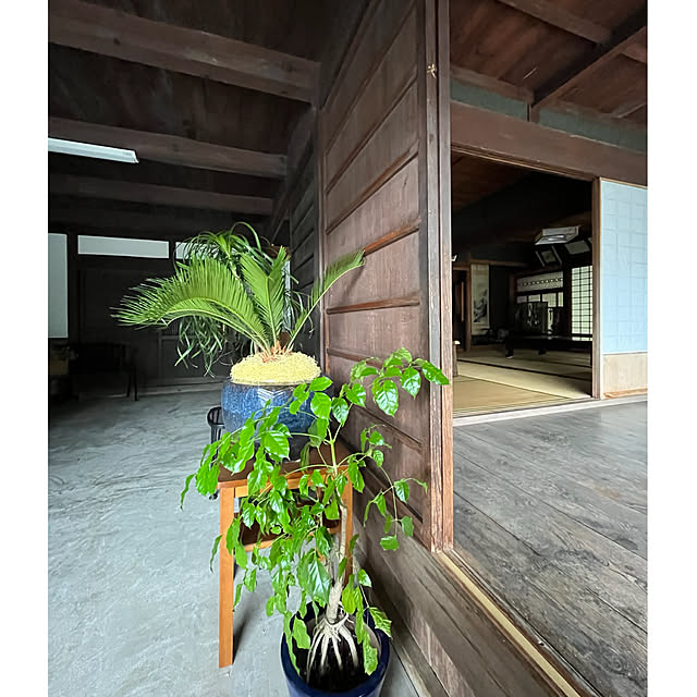cotaさんの部屋