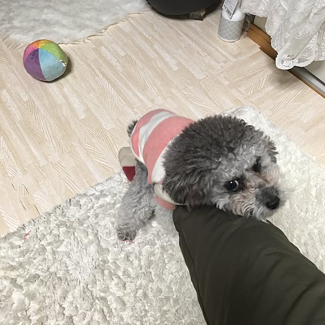 chocomamaさんの実例写真