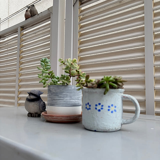 puriyuzuさんの部屋