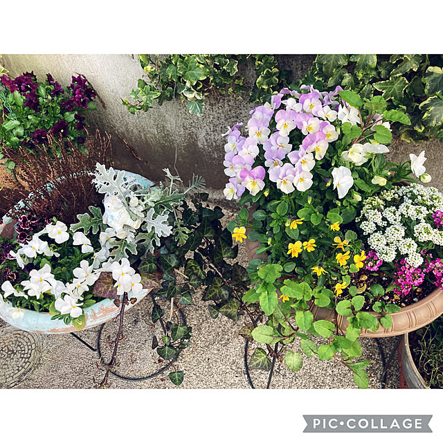 CoCo0617さんの部屋