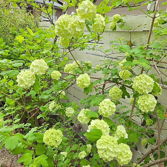 min_nimさんの実例写真