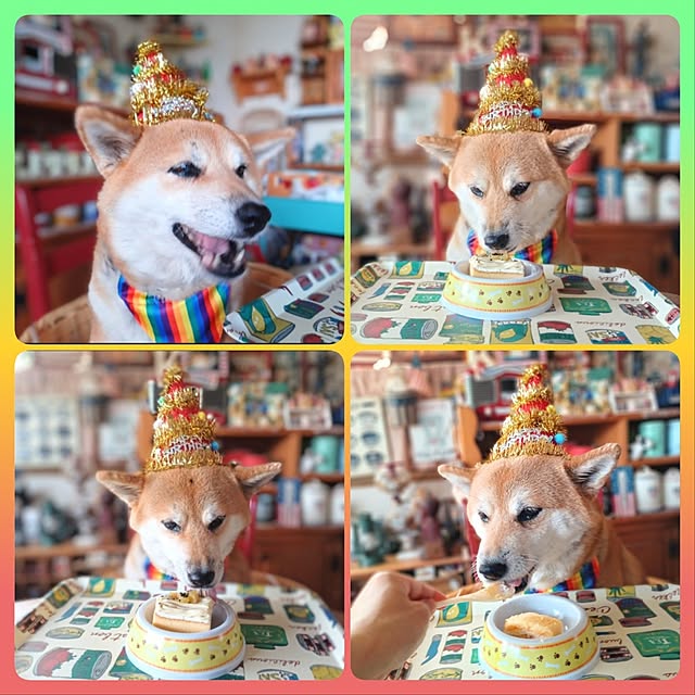 nanaさんの実例写真