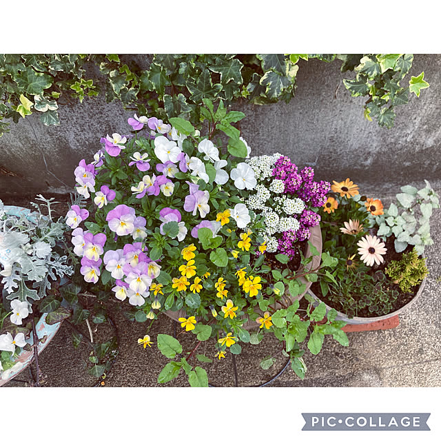 CoCo0617さんの部屋