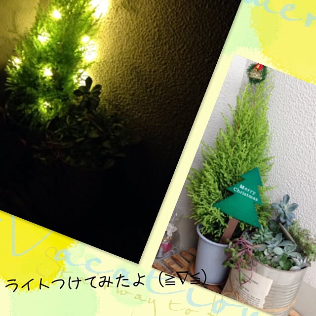 8717さんの実例写真