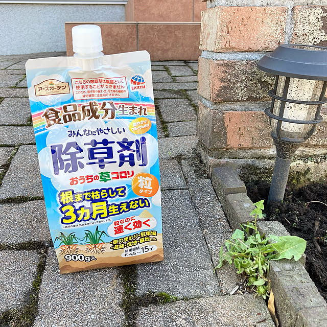 yocchanさんの実例写真