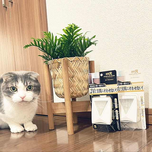 tansukeさんの実例写真