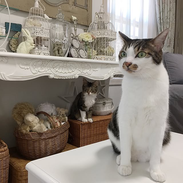 yuchiさんの実例写真