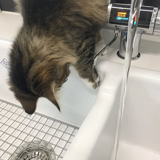 yuchiさんの実例写真