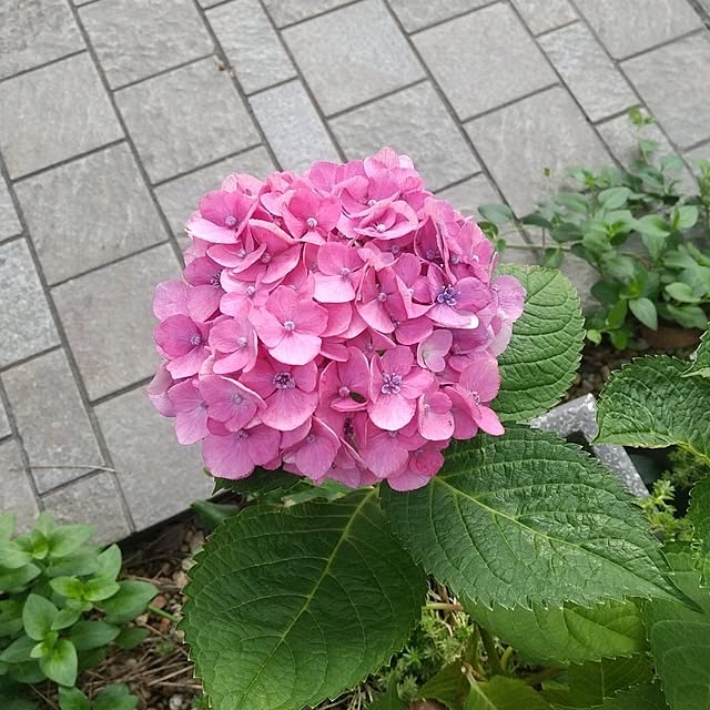 Rさんの部屋