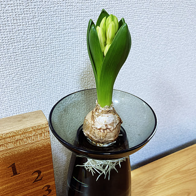 komadoさんの実例写真
