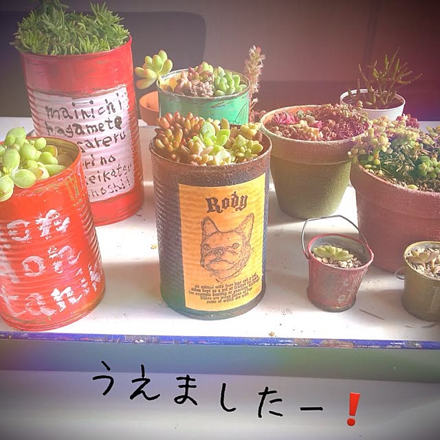 38coreさんの実例写真