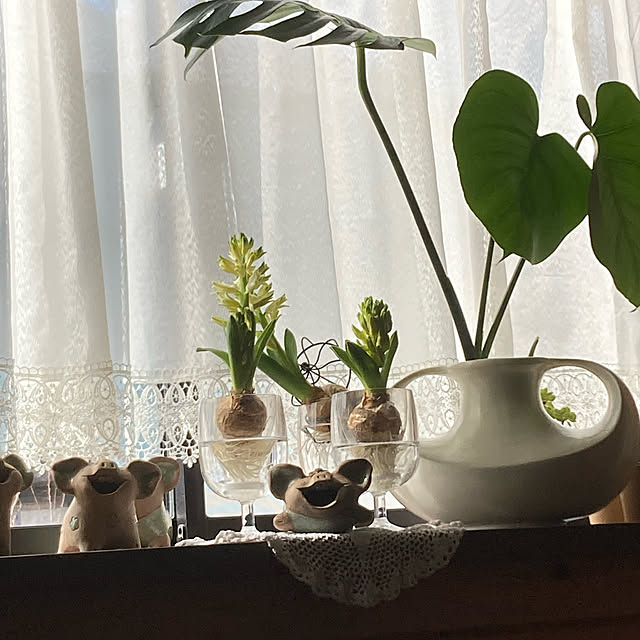 Meimamaosaruさんの実例写真