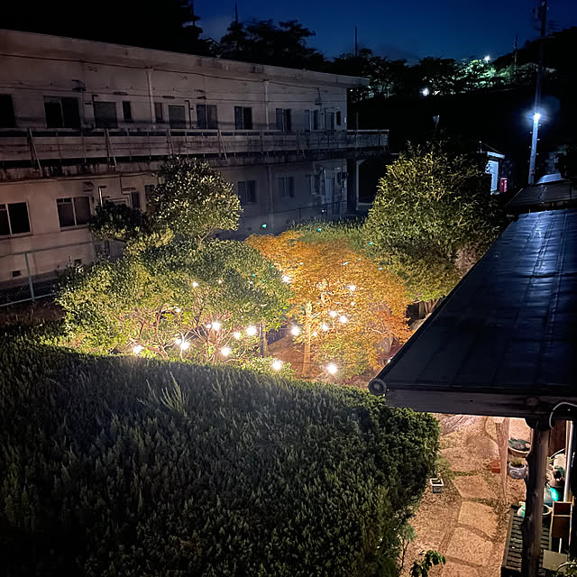 shin0719さんの実例写真