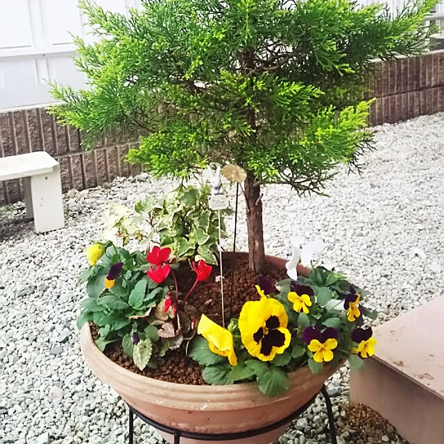 oliveさんの実例写真