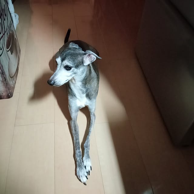moruさんの部屋
