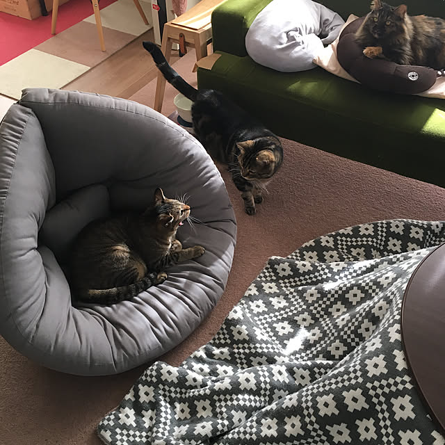 mikomaruさんの実例写真