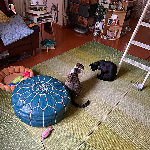 jijiさんの実例写真