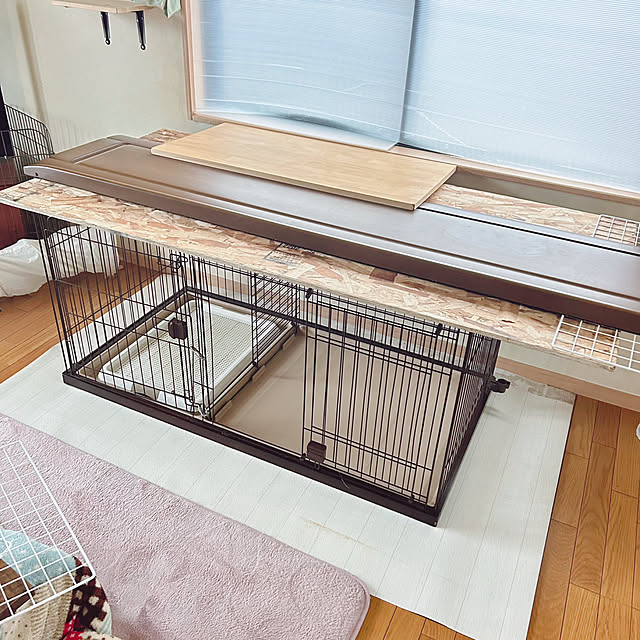 prelumoさんの部屋