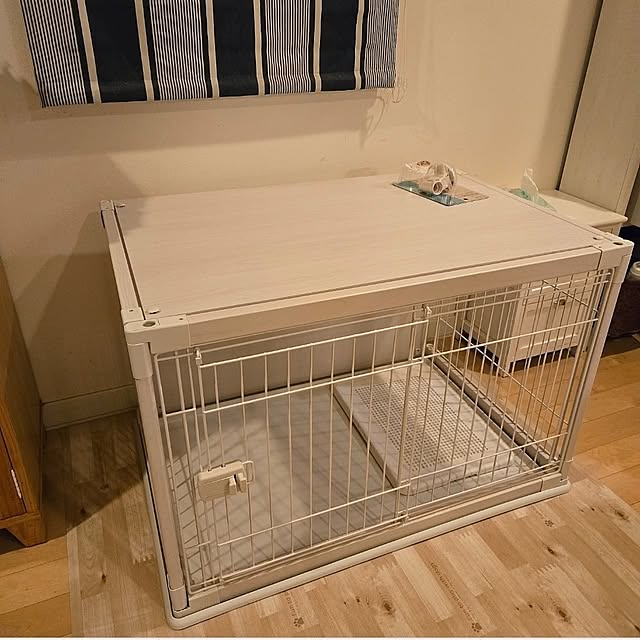 tulipさんの実例写真