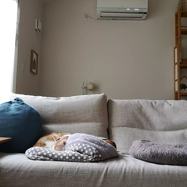 koyurizuさんの部屋