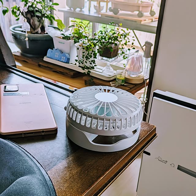 mi-saさんの部屋