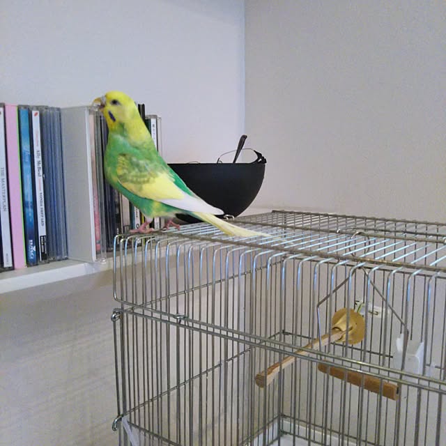 maamiさんの実例写真