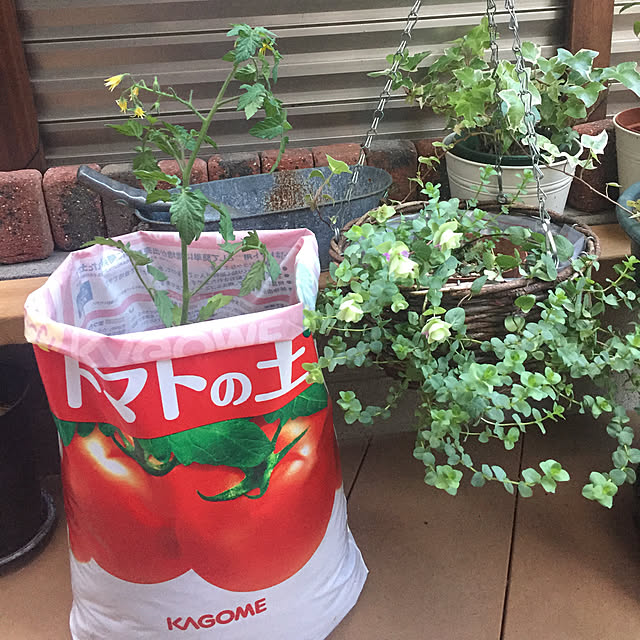 fu-mufumuさんの実例写真