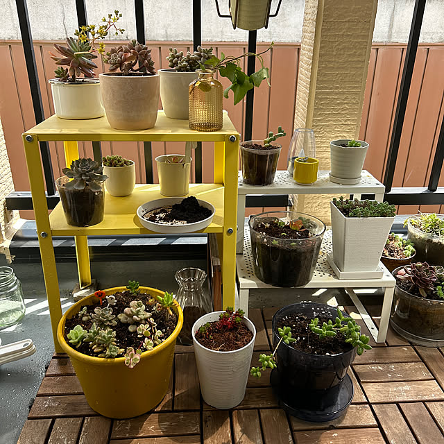 ruuuさんの実例写真