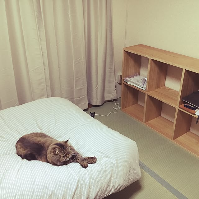 yamachiさんの実例写真