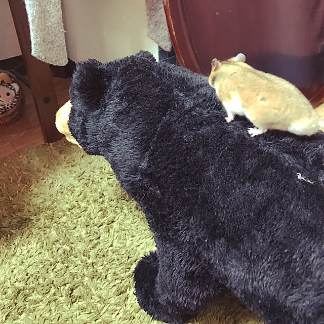 tanumaさんの実例写真
