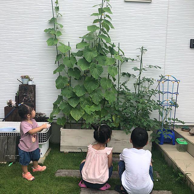 小さな幸せを感じる生活/Happydays/たのしい時間/こどもと一緒に/野菜作り...などのインテリア実例 - 2019-07-22 00:05:23