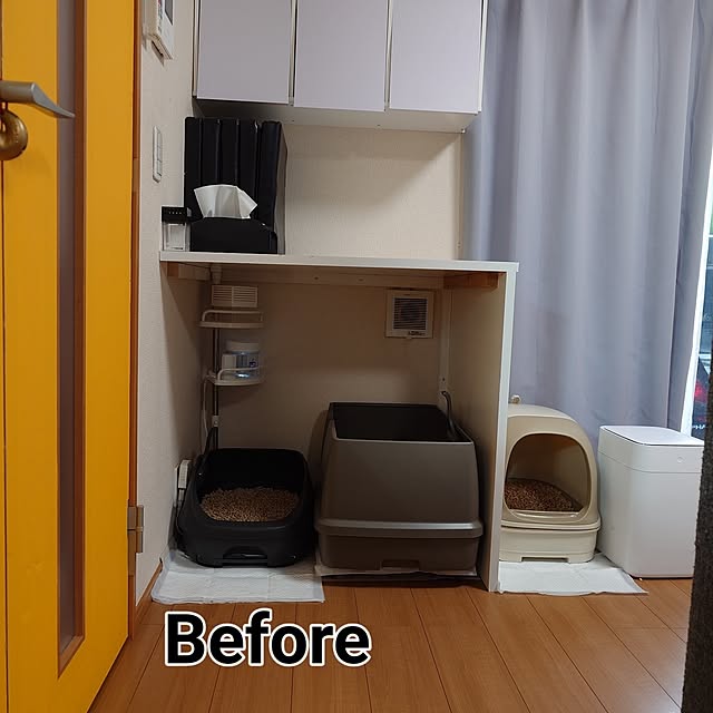 noguriさんの部屋