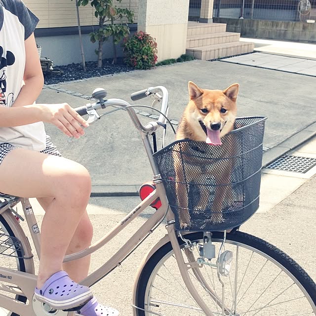 hanakoさんの実例写真