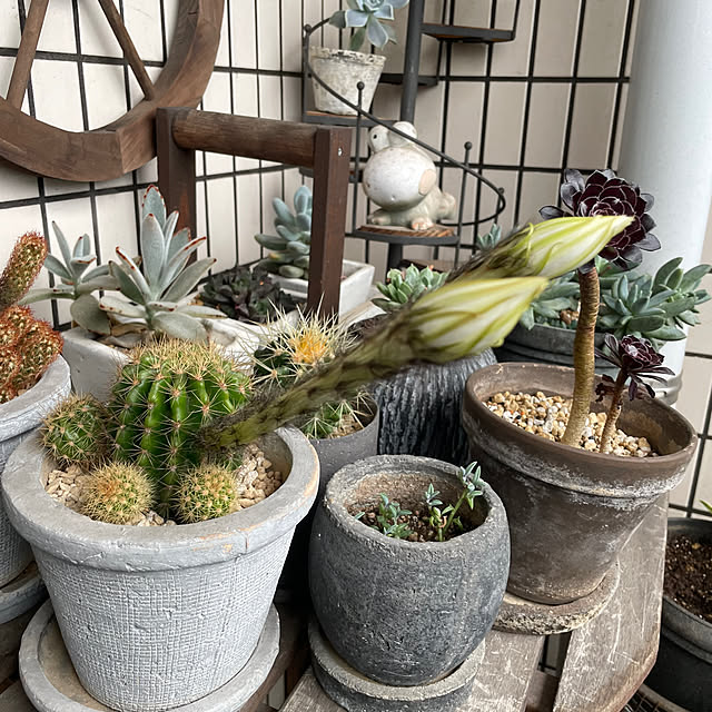 rinrinさんの部屋