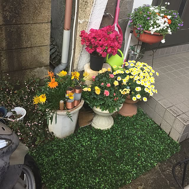 Harumiさんの実例写真