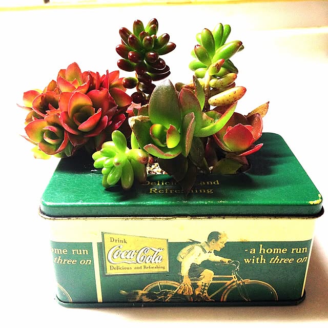 mymiさんの実例写真